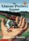 An Almost Perfect Game cover