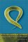 In the Beginning Was the Worm : Finding the Secrets of Life in a Tiny Hermaphrodite cover