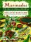 Marinades : The Secret of Great Grilling cover