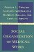 Social Organization of Medical Work cover