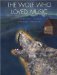 The Wolf Who Loved Music cover
