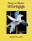  Easy-To-Make Whirligigs