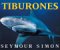  Tiburones/sharks