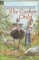 Cuckoo Child cover