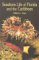Seashore Life of Florida and the Caribbean cover