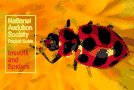 Familiar Insects and Spiders North America cover