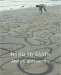 Hand To Earth: : Andy Goldsworthy Sculpture 1976-1990 cover