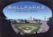 Ballparks : A Panoramic History cover
