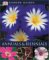 Annuals & Biennials