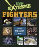 Fighters [Click for larger image]