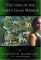 The Girl In The Green Glass Mirror cover
