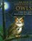 Book of North American Owls cover