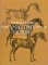 The Anatomy of the Horse cover