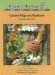 Latino Migrant Workers : America's Harvesters cover