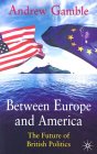 Between Europe and America : The Future of British Politics [Click for larger image]