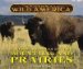 Unique Animals Of The Mountains And Prairies cover