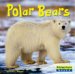 Polar Bears cover