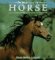 The Kingdom of the Horse cover
