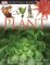Plant cover