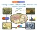 Learning About the Settlement of the America's With Graphic Organizers cover
