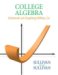 College Algebra : Enhanced Graphing Utilities cover