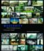 Modernity : After Enlightenment. cover