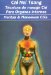 Chi Nei Tsang : Tecnicas De Masaje Chi Para Organos Internos/chi Massage Techniques For The Internal Organs cover
