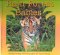Rain Forest Babies cover
