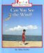 Can You See The Wind? cover