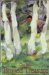Buried Treasure : Poems cover