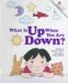 What Is Up When You Are Down cover