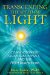 Transcending the Speed of Light : Consciousness, Quantum Physics, and the Fifth Dimension cover