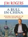 A Bull in China : Investing Profitably in the World's Greatest Market, Library Edition cover