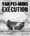 Yan Pei-Ming, Execution cover