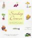 Sunday Dinner : Seasonal Menus to Enjoy With Friends and Family cover