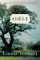 Adele : Jane Eyre's Hidden Story cover