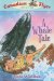 A Whale Tale cover