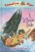 A Whale Tale cover