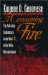A Consuming Fire : The Fall of the Confederacy in the Mind of the White Christian South cover