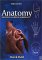  Anatomy: Palpation and Surface Markings