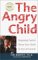 The Angry Child : Regaining Control When Your Child Is Out of Control cover