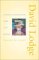 Consciousness & the Novel : Connected Essays cover