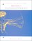 Essentials of Anatomy & Physiology : Laboratory Text and Study Guide cover