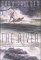 The River cover