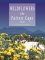 Wildflowers of the Fairest Cape cover