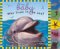 Who Lives in the Sea? cover