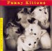 Funny Kittens cover