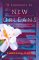 A Summons to New Orleans : A Novel cover