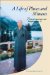 A Life Of Pluses And Minuses cover