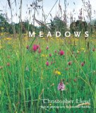 Meadows [Click for larger image]